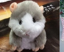 hamster