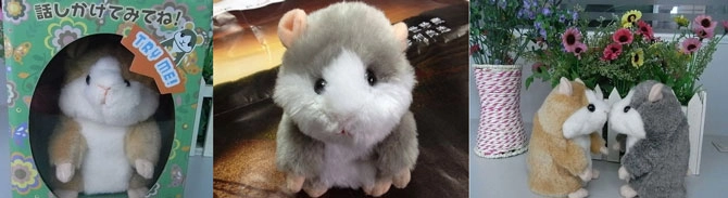 hamster