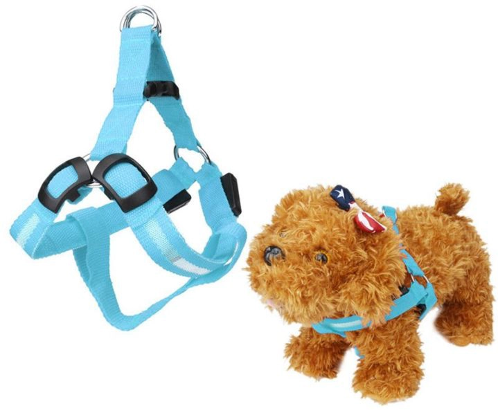 Leuchtendes Hundegeschirr