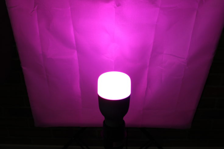 Xiaomi Yeelight Smart LED Glühbirne lila
