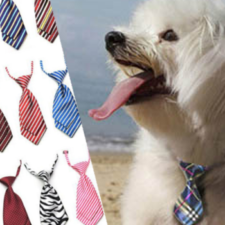 Hunde-Krawatten