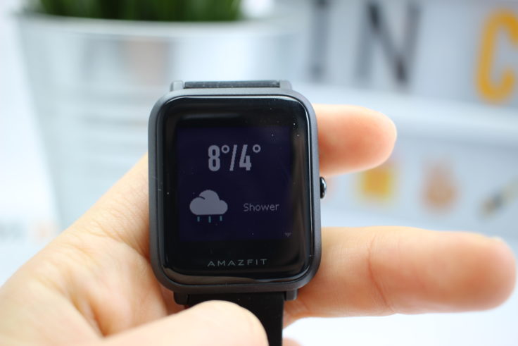 Xiaomi Huami Amazfit Bip Wetter