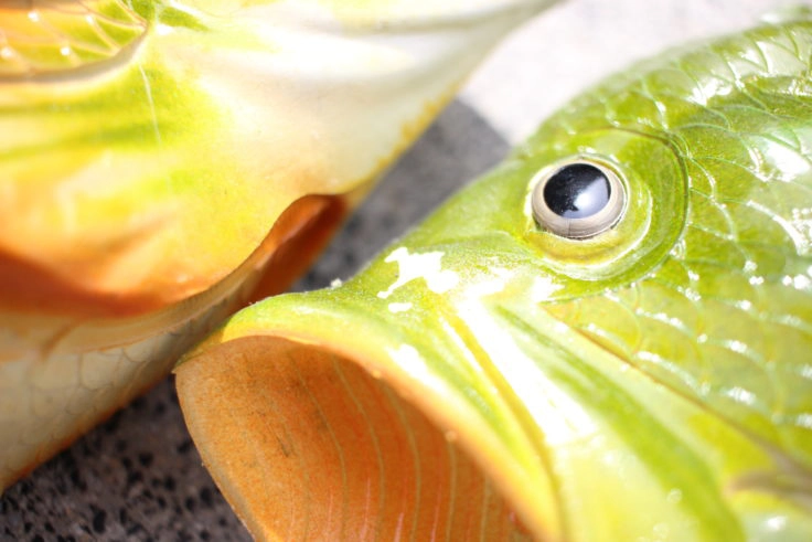 Fischschlappen weiße Farbe Fischschlappen weiße Farbe