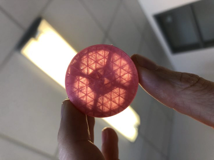 Ein Testdruck mit transparentem Filament: Das Infill (10%) ist im Gegenlicht sehr gut zu sehen.