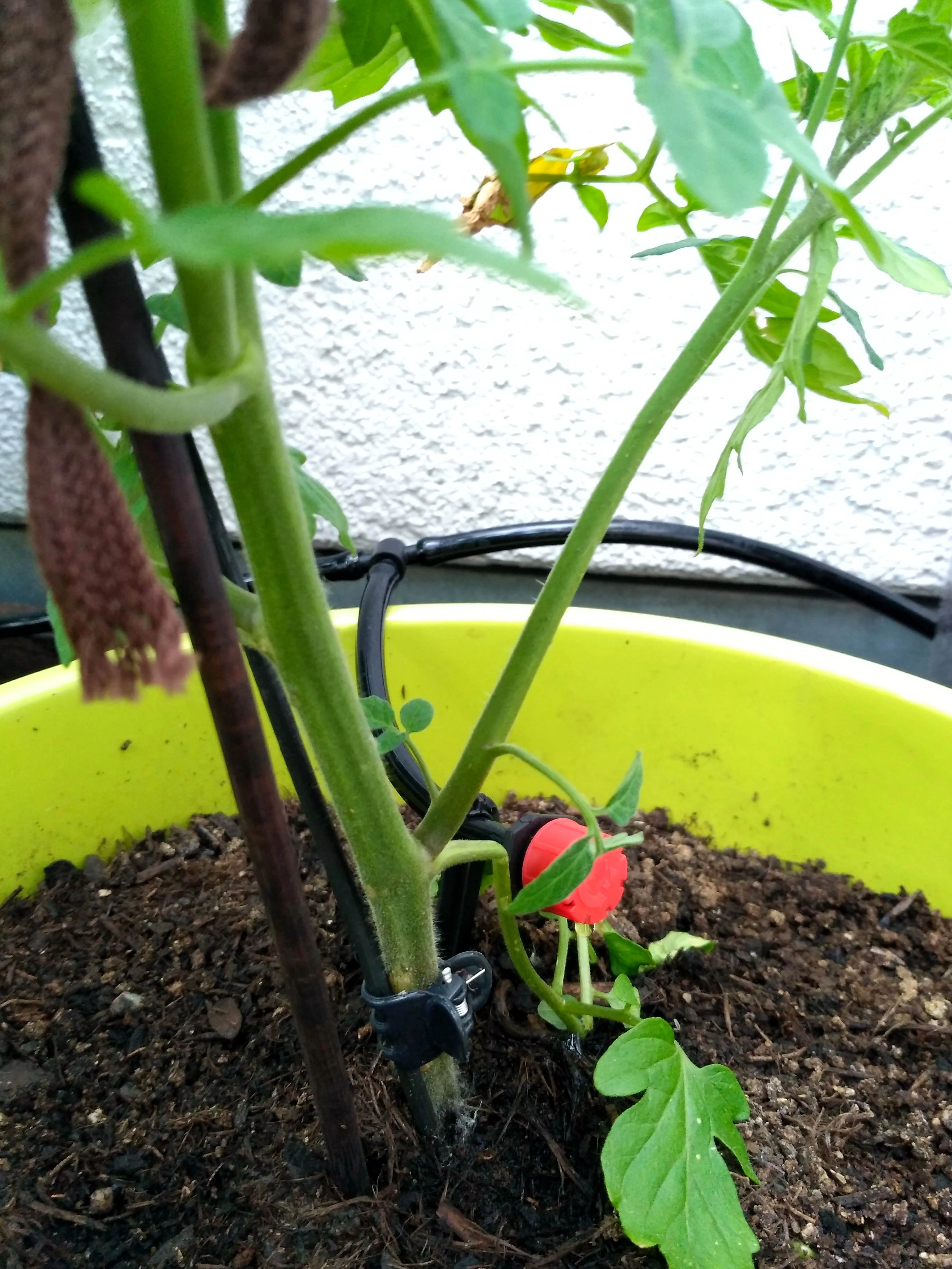 Automatische Bewässerung für Blumenkästen