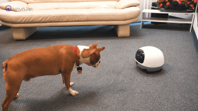 VAVA Pet Cam Roboter