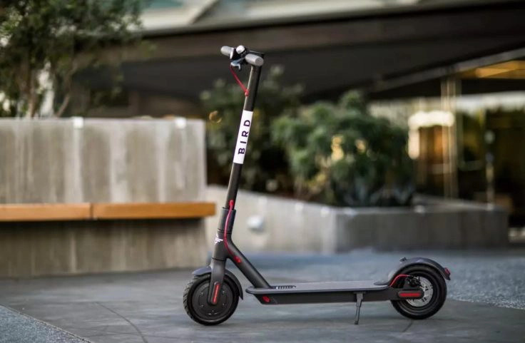 BIRD E-Scooter