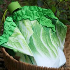 Salat-Regenschirm