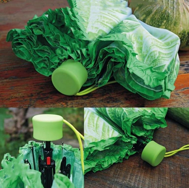 Was Kann Man Zwischen Salat Pflanzen Salat-Regenschirm aka "Vegetabrella": Damit hat man den Salat!