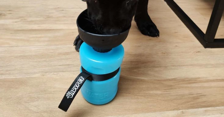 DADYPET Hundetrinkflasche von Vorn