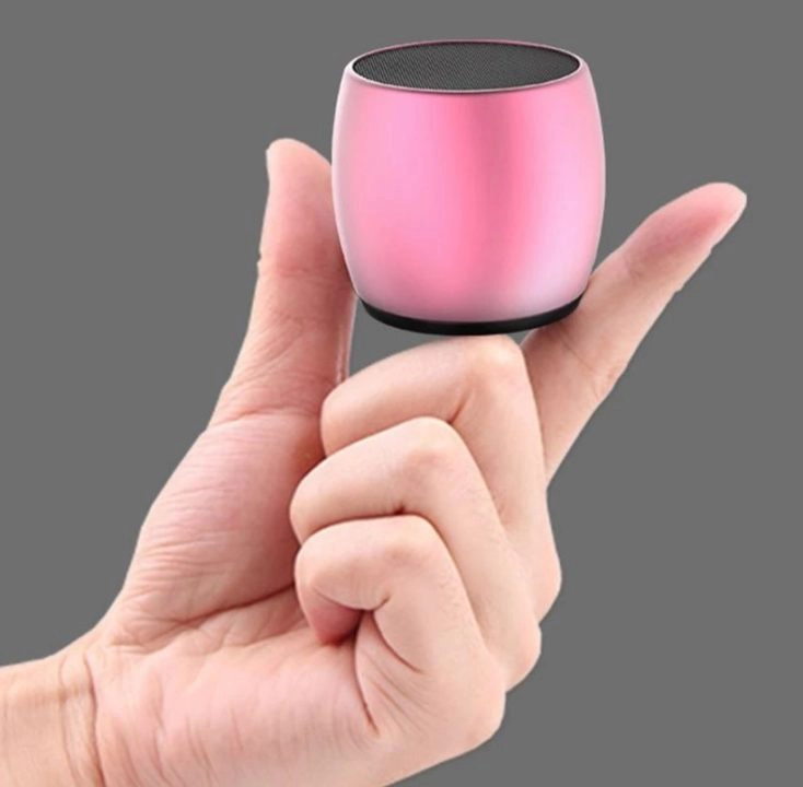 SARDiNE wireless Speaker in der Hand.