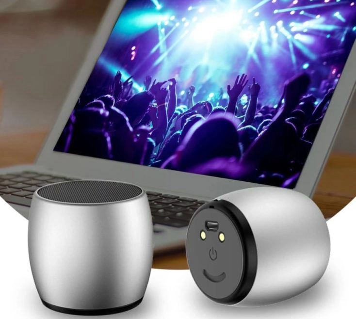 SARDiNE wireless Speaker mit Laptop.