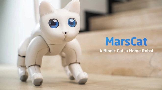 MarsCat Roboter-Katze