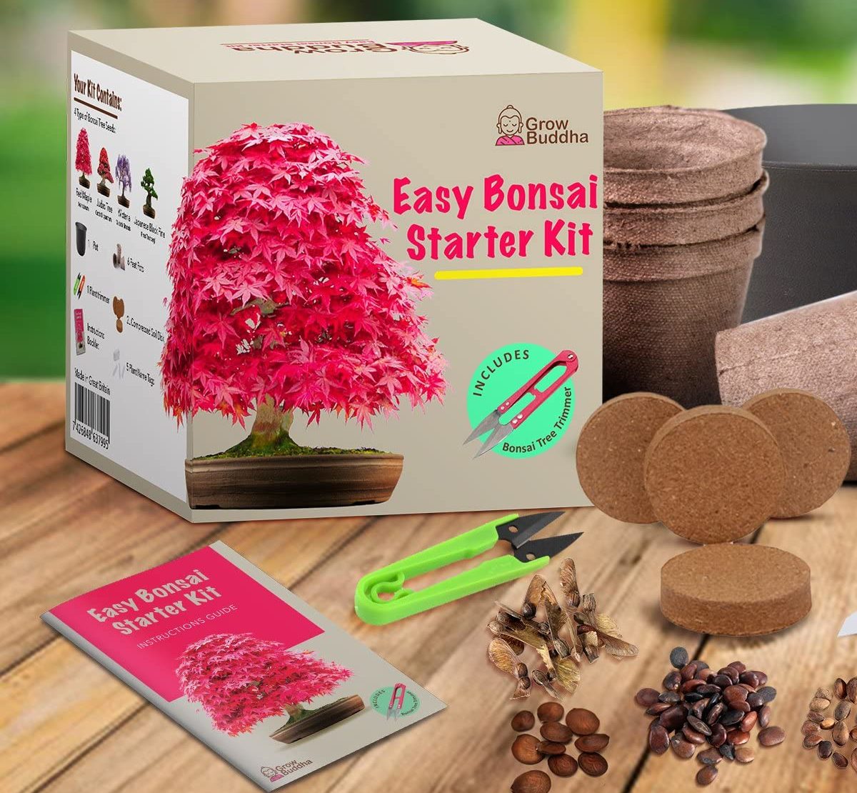 Bonsai selber pflanzen