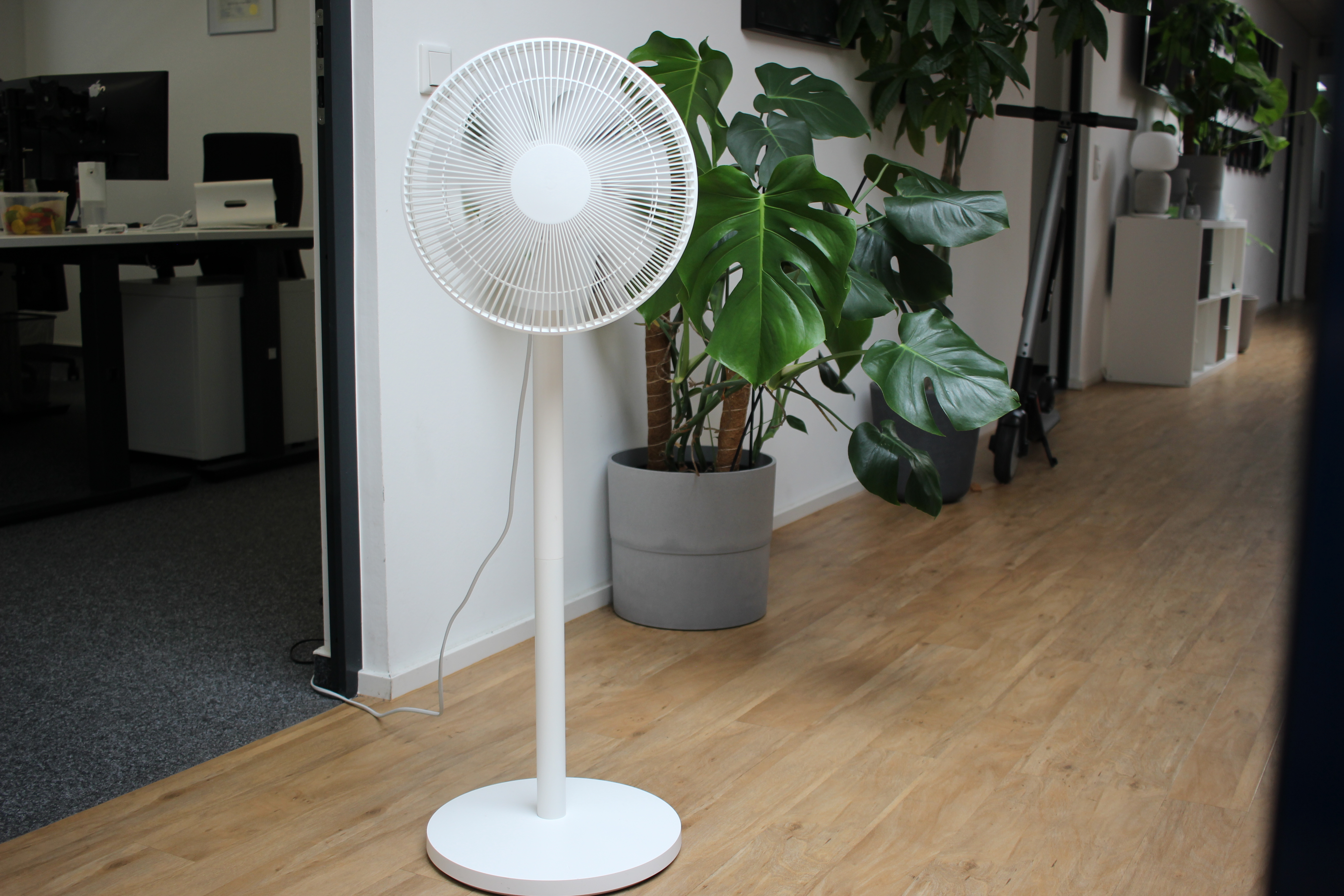 Xiaomi Mi Smart Standing Fan 2 Lite Test: Smarter & Günstigster