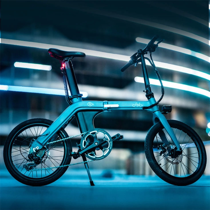 FIIDO D1 E-Bike