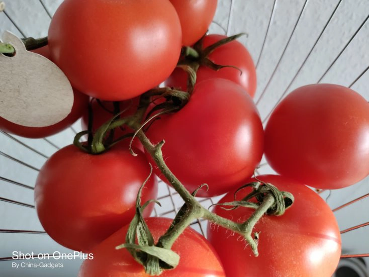 OnePlus Nord N10 Tomaten