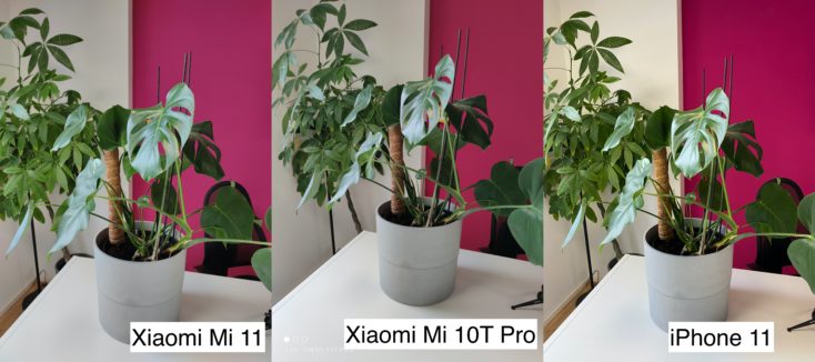 Xiaomi Mi 11 Testfoto Hauptkamera vs Mi 10T Pro vs iPhone 11