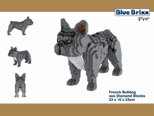 Franzoesische Bulldogge