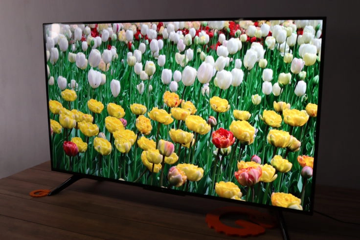 Xiaomi Mi TV P1 Fernseher Blumen Beispiel