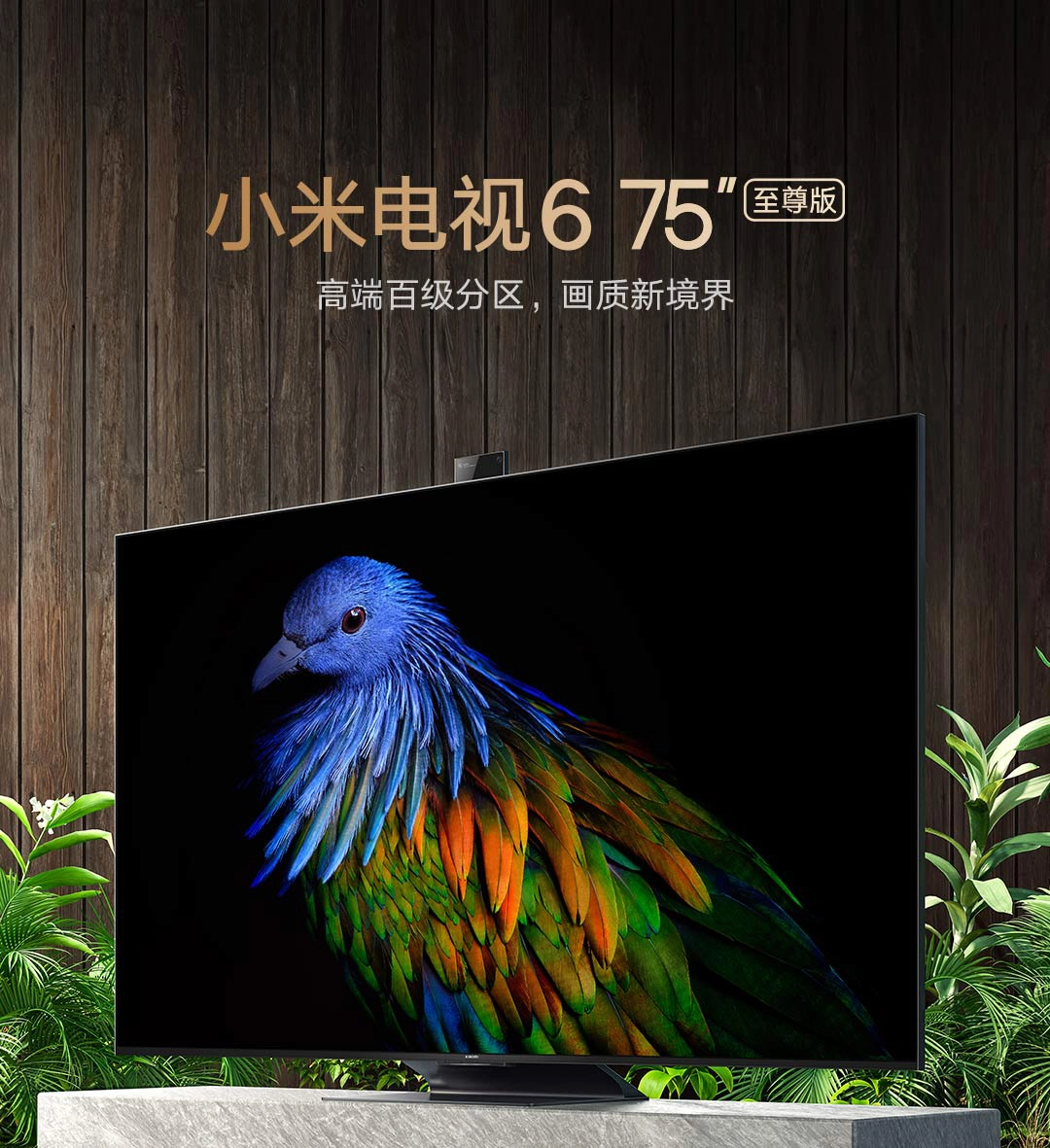 Xiaomi Mi TV 6 Extreme Edition mit eingebauter Kamera | China-Gadgets