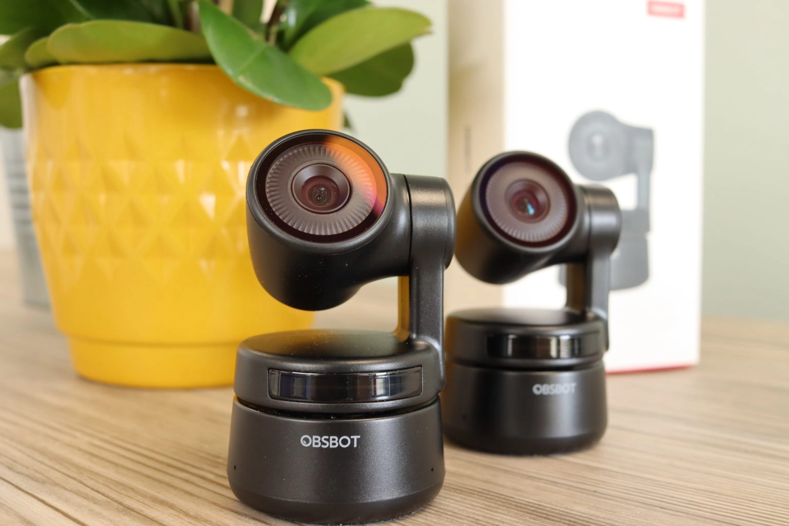 OBSBOT Tiny im Test - Diese AI-Webcam folgt dir wie ein Kameramann!