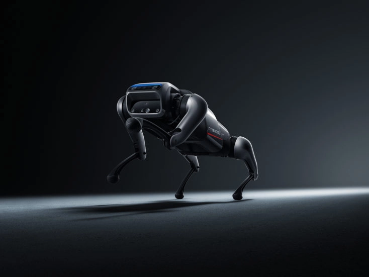 Xiaomi CyberDog Roboter Füße hoch