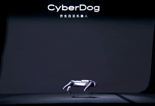 Xiaomi CyberDog Roboter Salto