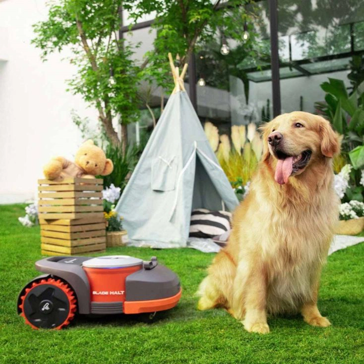 Navimow Segway Maehroboter Hund