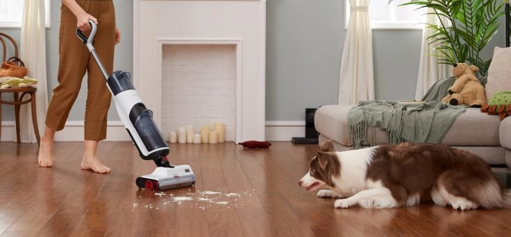 Roborock Dyad Wisch-Akkusauger Hund