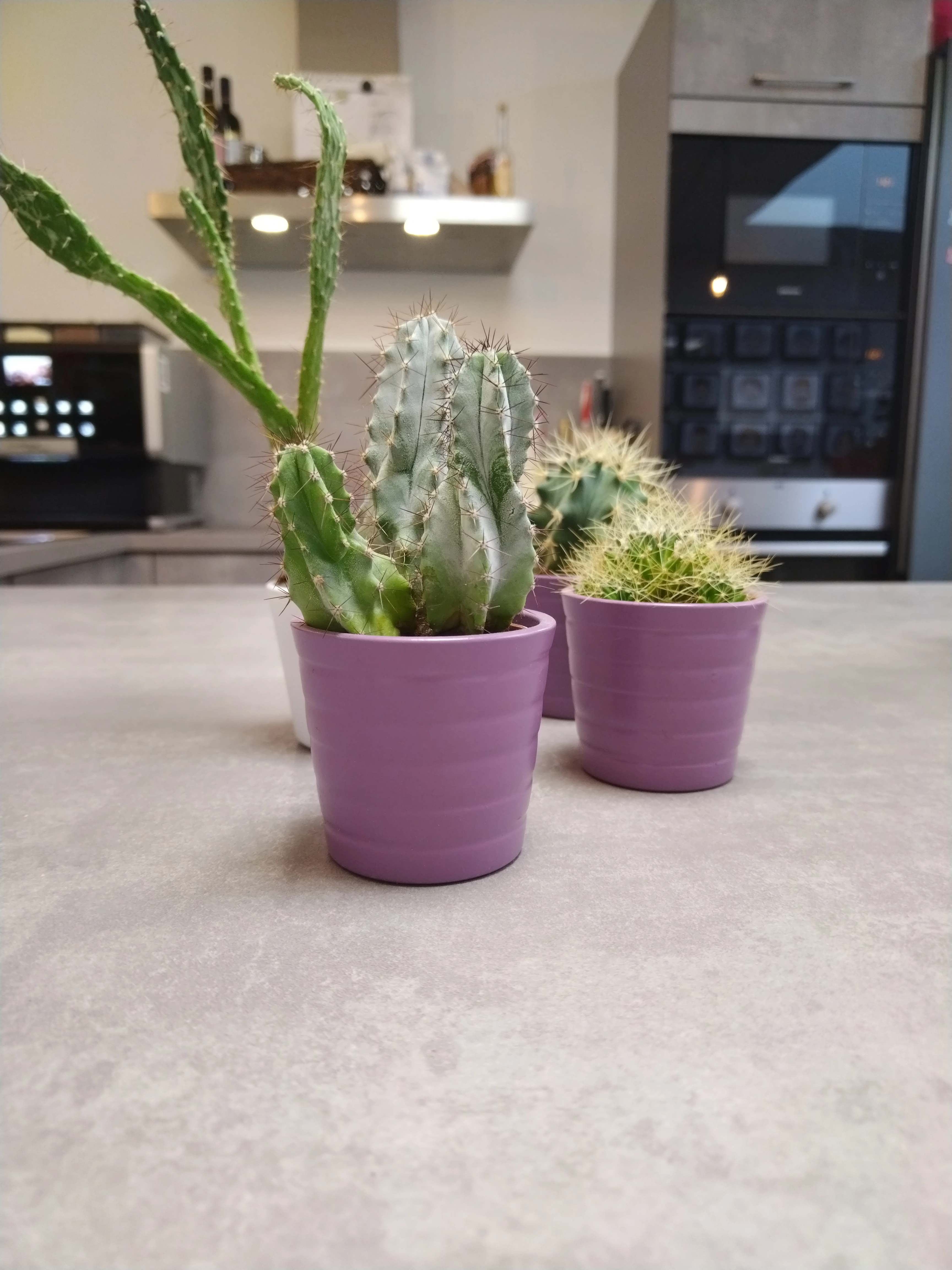 Honor 50 Lite Vergleichsfoto-1