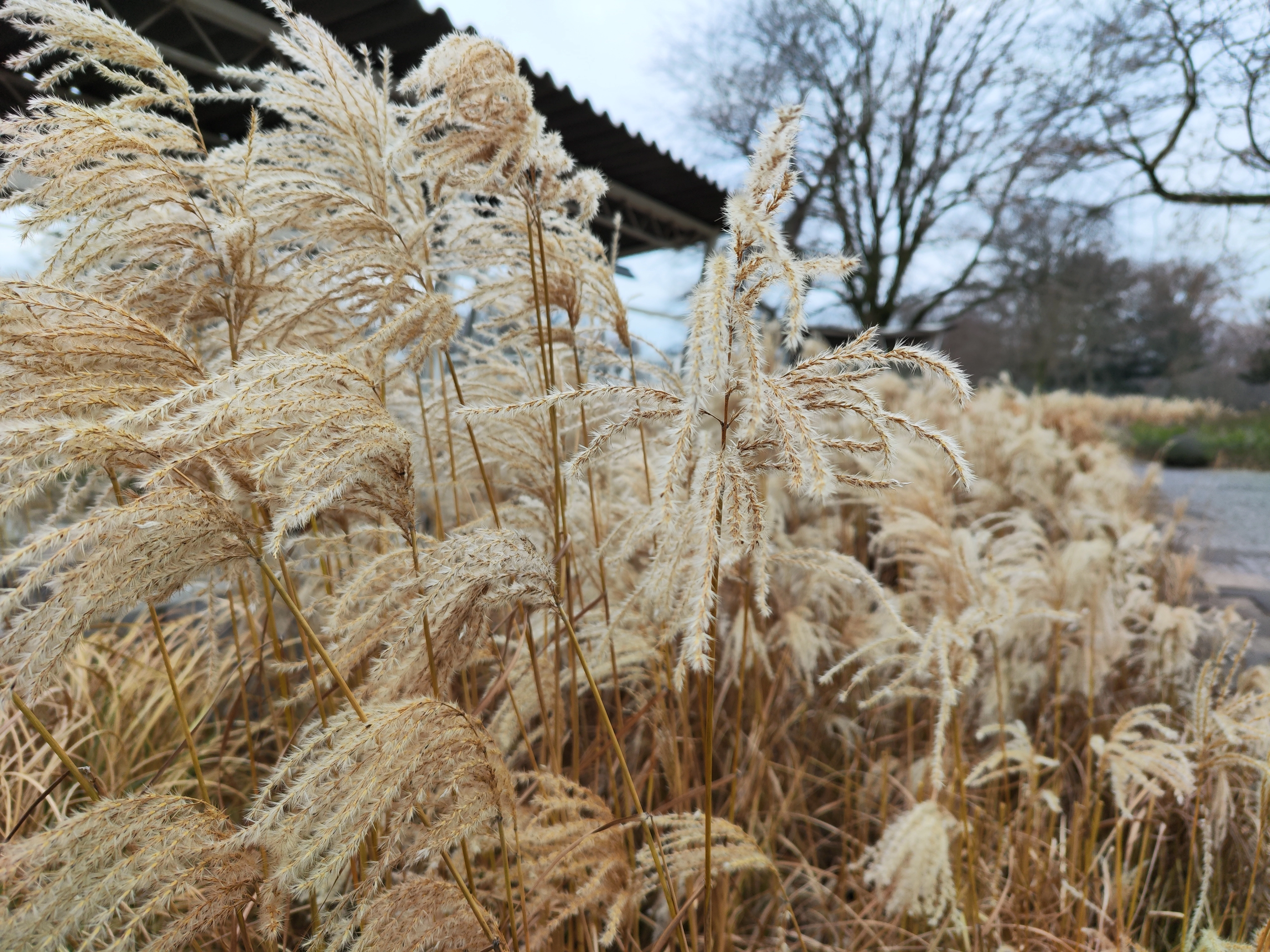 Xiaomi 12 Pro Hauptkamera Testfoto Schaerfe 1