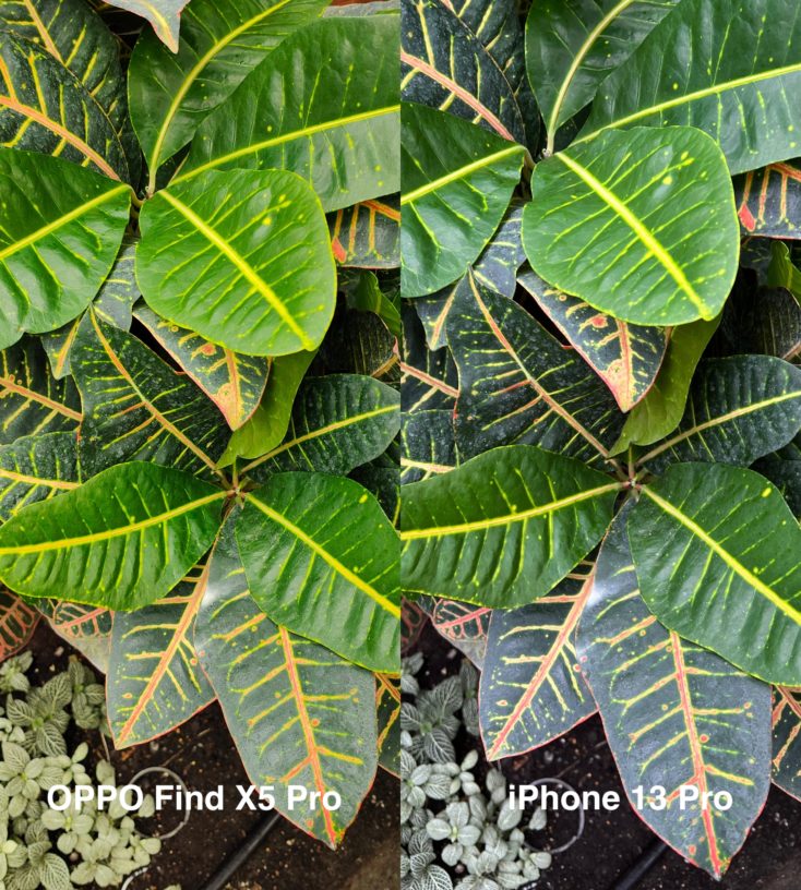 OPPO Find X5 Pro vs iPhone 13 Pro Farben