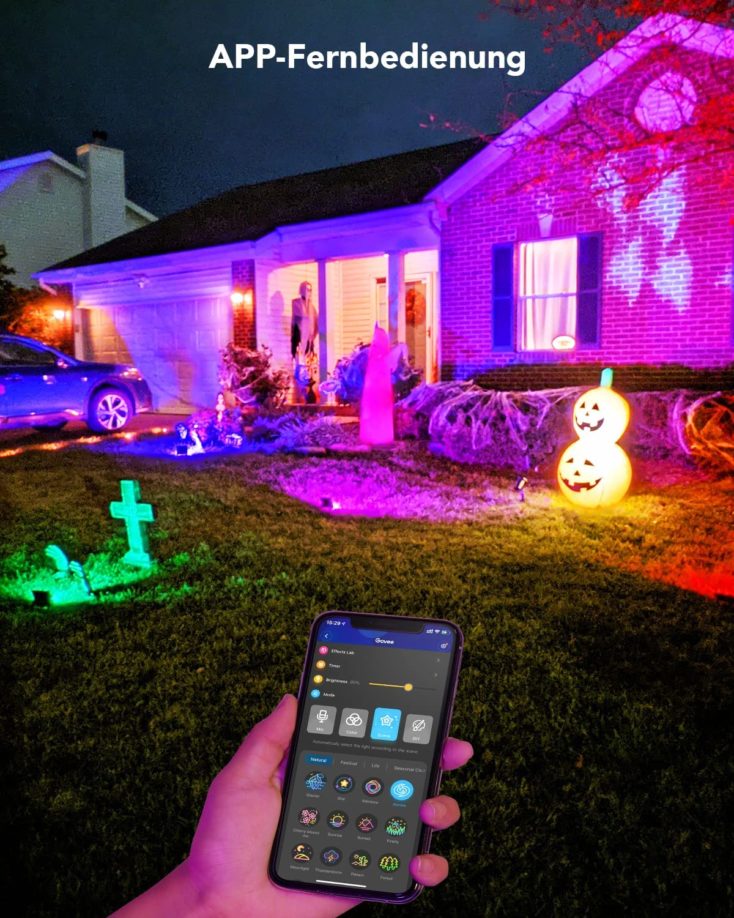 Govee LED Flutlicht App Steuerung