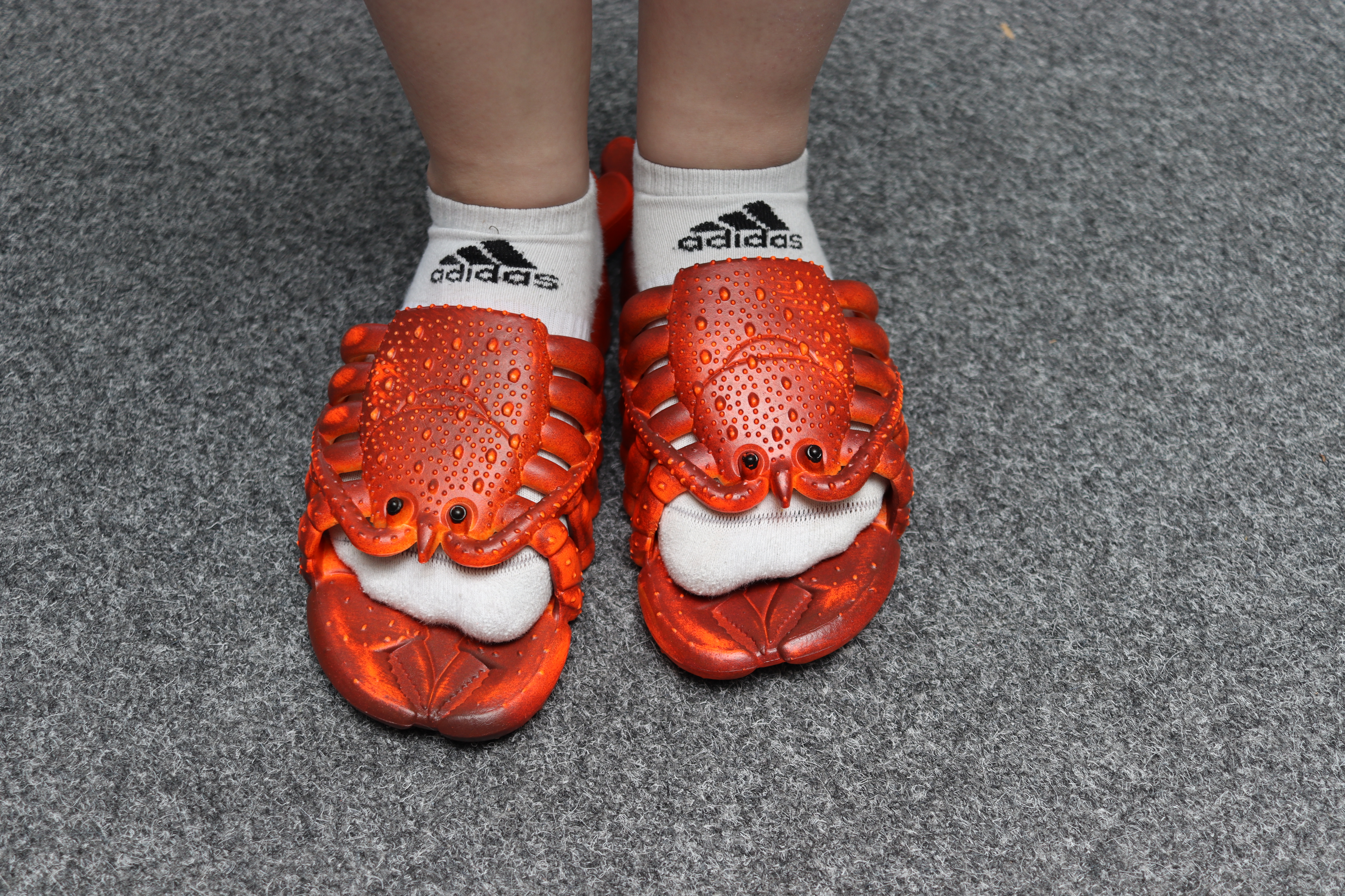 Flip Flobster angezogen