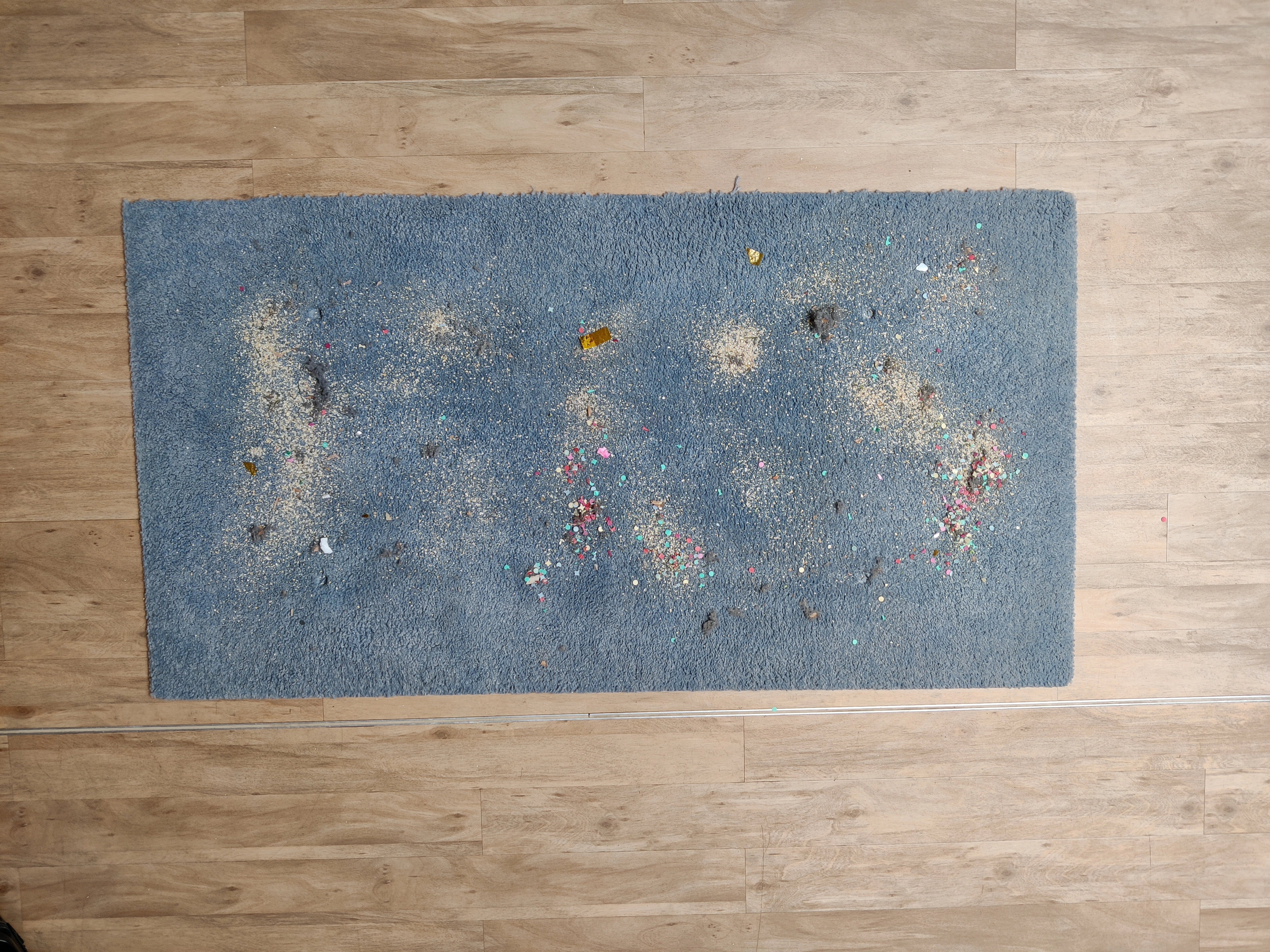 Proscenic P11 Smart Akkusauger  Teppich vorher