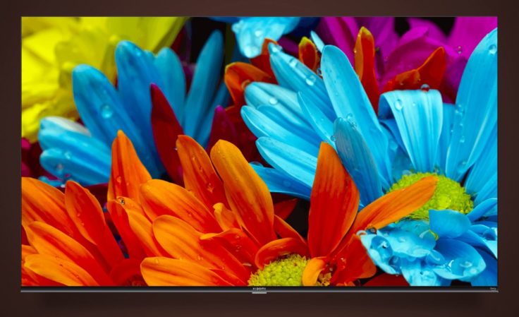 Xiaomi TV F2 Serie Fernseher Blumen
