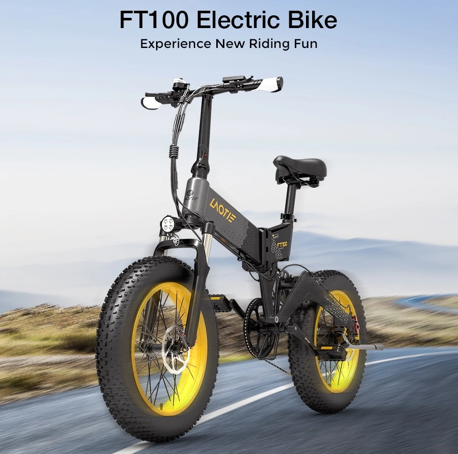 Laotie FT100 E-Bike 2