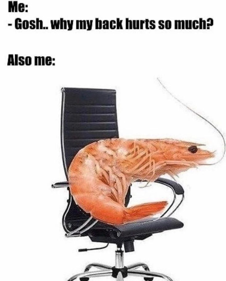 Meme Shrimp