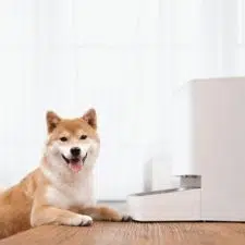 Xiaomi Smart Pet Food Feeder Hund