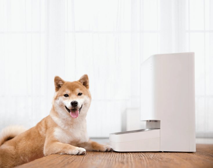 Xiaomi Smart Pet Food Feeder Hund