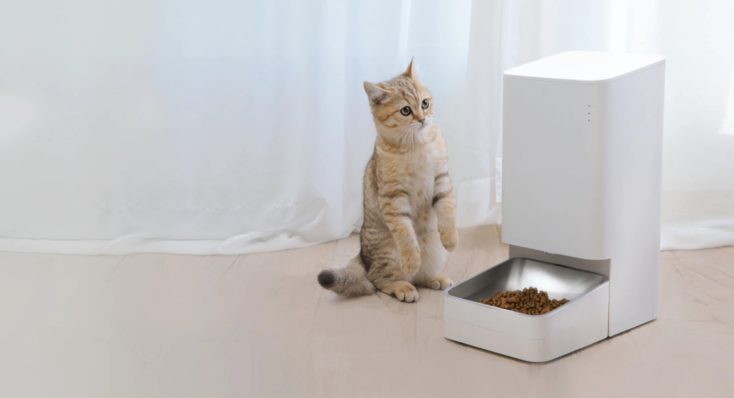 Xiaomi Smart Pet Food Feeder Katze