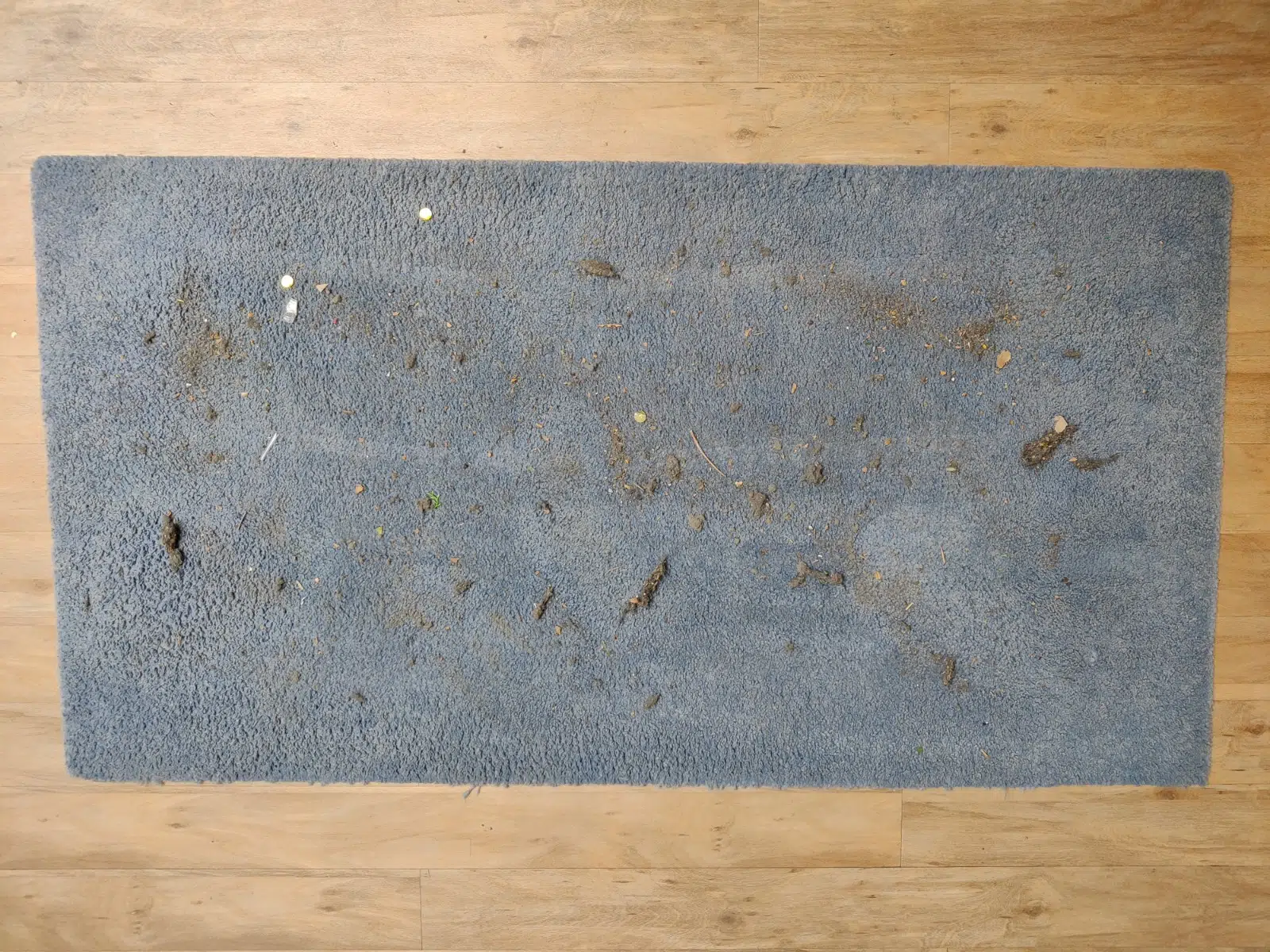 ECOVACS T10 vorher