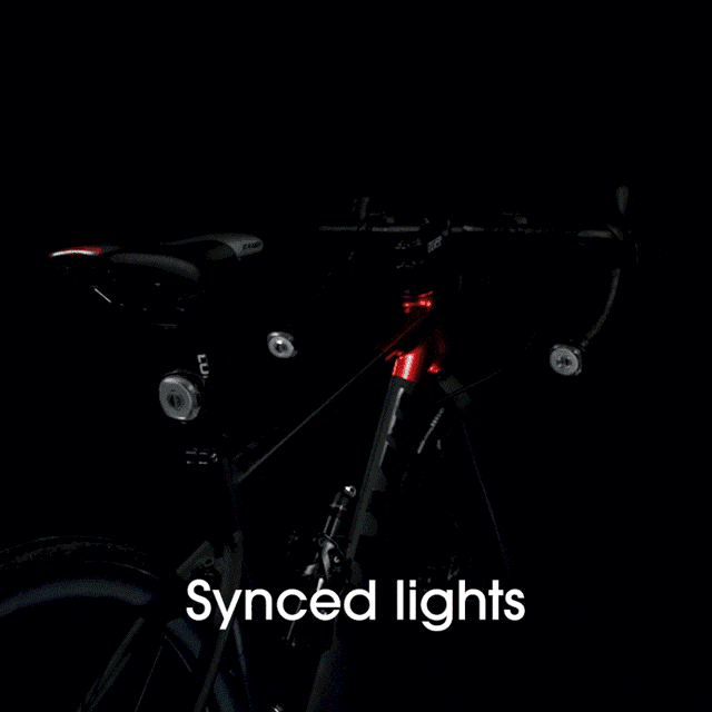 Lumos Firefly Fahrradlicht 1
