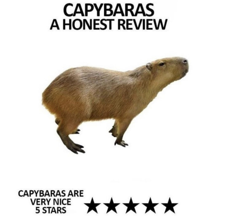 Capybara honest review