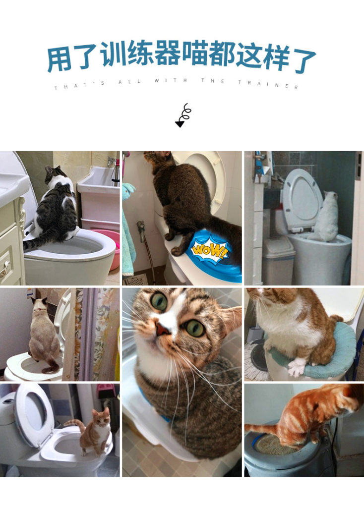 Toilettentrainer Katze Training