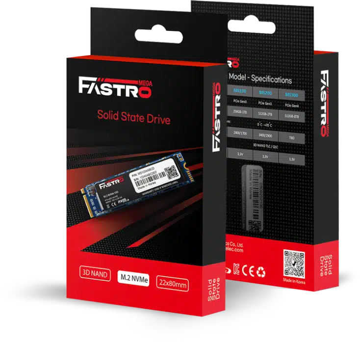 Mega Fastro MS250 SSD Packung