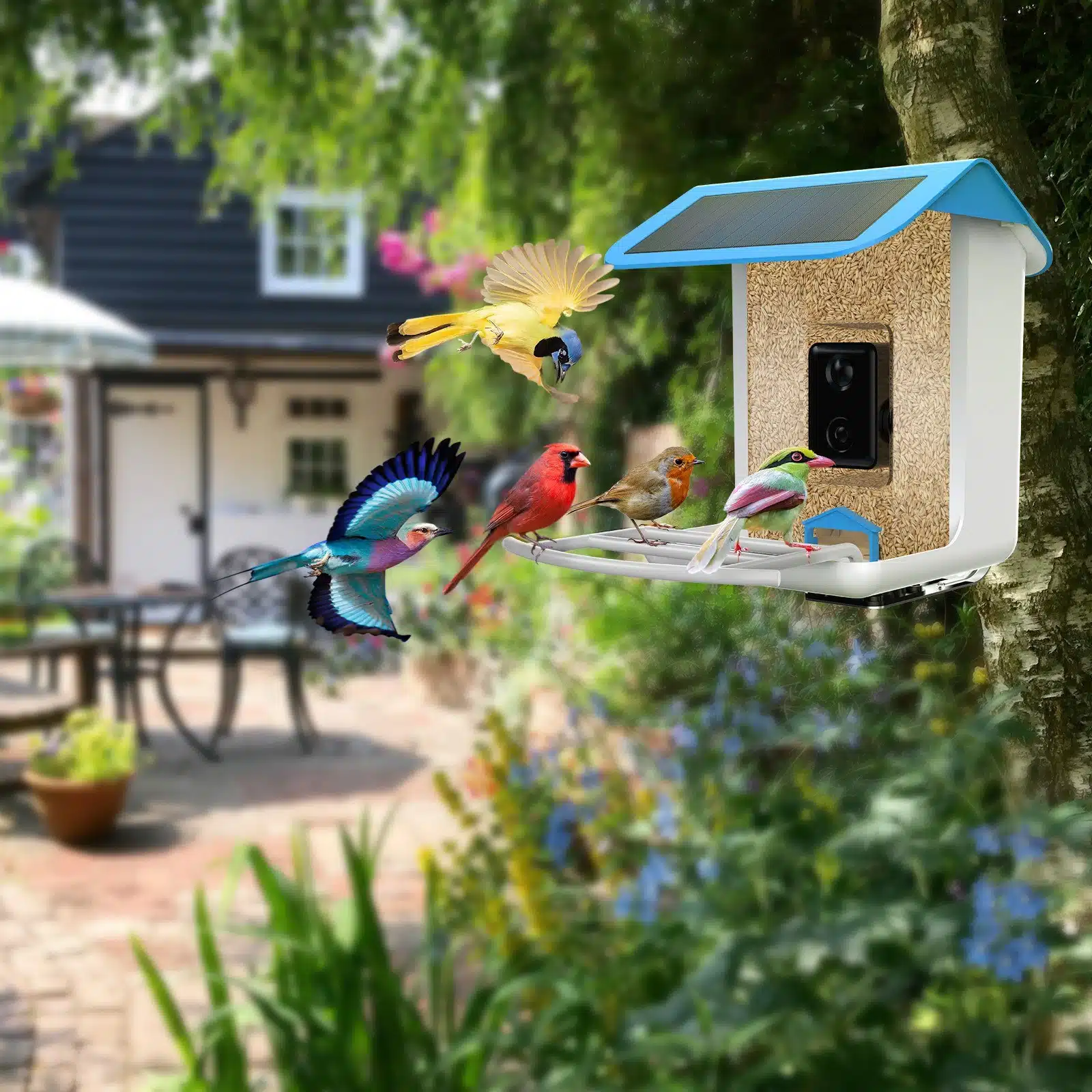 Smartes Vogelhaus mit Kamera und AI Vogelerkennung ChinaGadgets