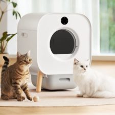 Xiaomi Smart Katzenklo Produktbild