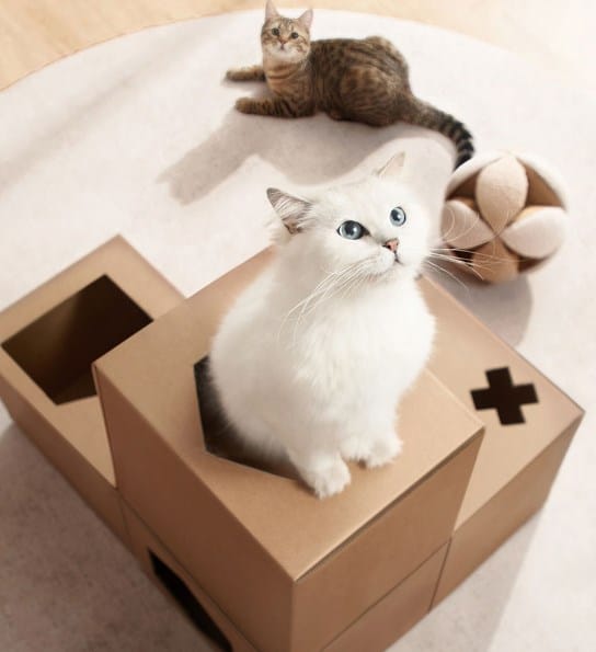 Xiaomi Smart Katzenklo Verpackung